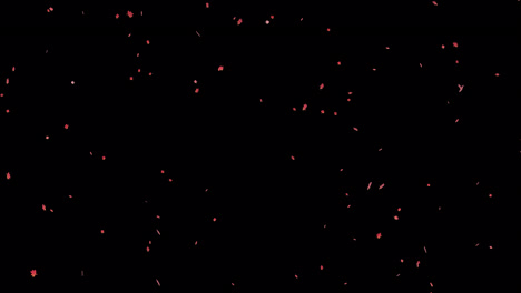 Red-leaves-animated-overlay.--1080p---30-fps---Alpha-Channel-(1)